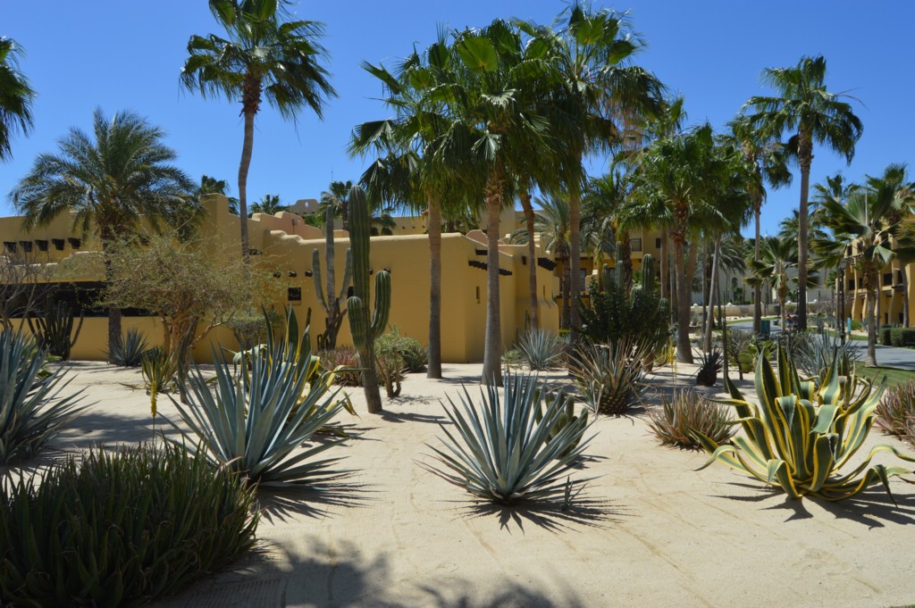 DSC_0067.JPG
