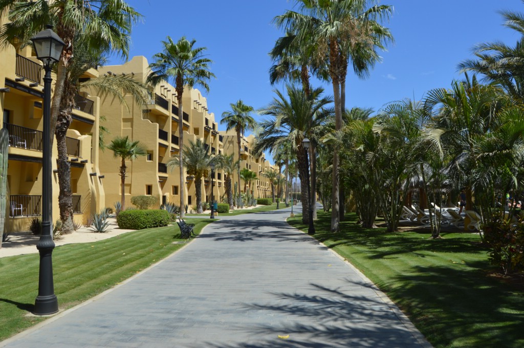 DSC_0069.JPG