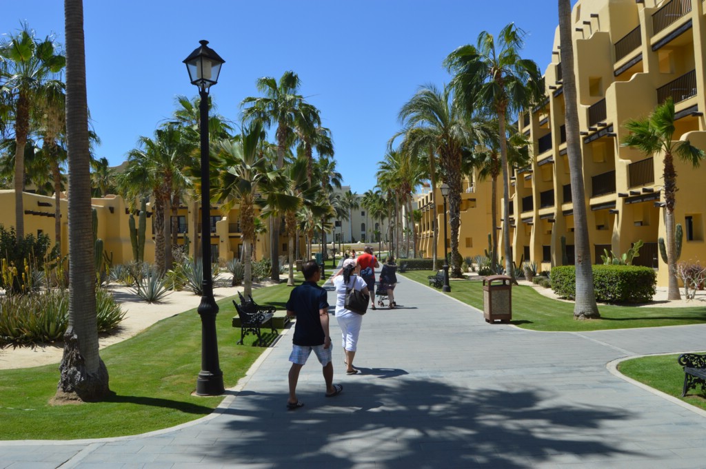DSC_0070.JPG