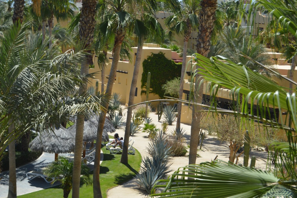 DSC_0085.JPG
