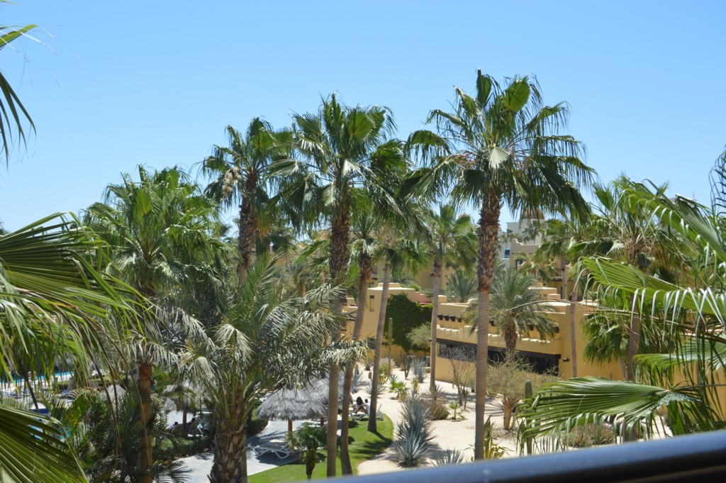 DSC_0090.JPG