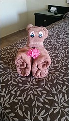 20170514_101543.jpg