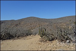DSC_0005.JPG