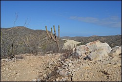 DSC_0006.JPG