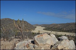 DSC_0008.JPG