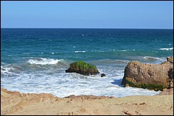 DSC_0010.JPG
