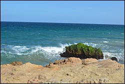 DSC_0020.JPG