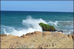 DSC_0021.JPG