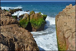 DSC_0022.JPG
