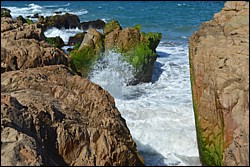 DSC_0024.JPG