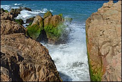 DSC_0025.JPG