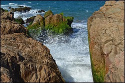 DSC_0026.JPG