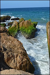 DSC_0027.JPG