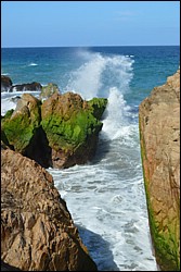 DSC_0028.JPG