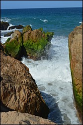 DSC_0029.JPG