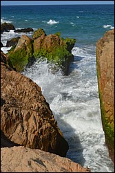DSC_0030.JPG