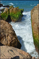 DSC_0031.JPG