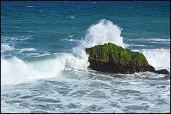 DSC_0035.JPG