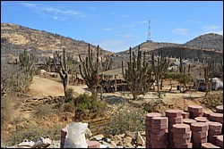 DSC_0042.JPG