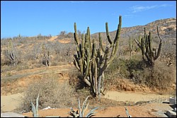 DSC_0043.JPG