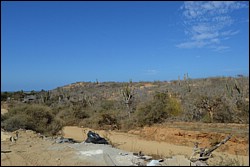 DSC_0046.JPG
