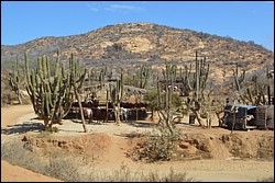 DSC_0050.JPG