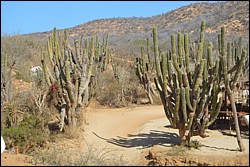 DSC_0052.JPG