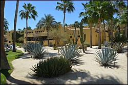 DSC_0066.JPG