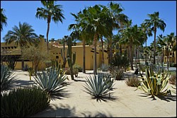 DSC_0067.JPG