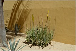 DSC_0073.JPG