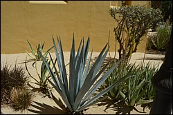 DSC_0074.JPG