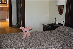 DSC_0080.JPG