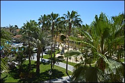 DSC_0086.JPG