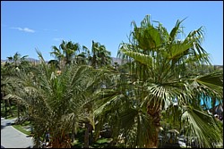 DSC_0087.JPG