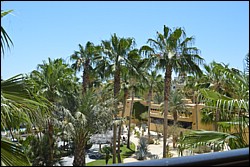 DSC_0090.JPG