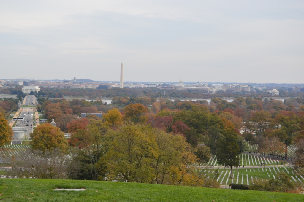 DSC_0003.JPG