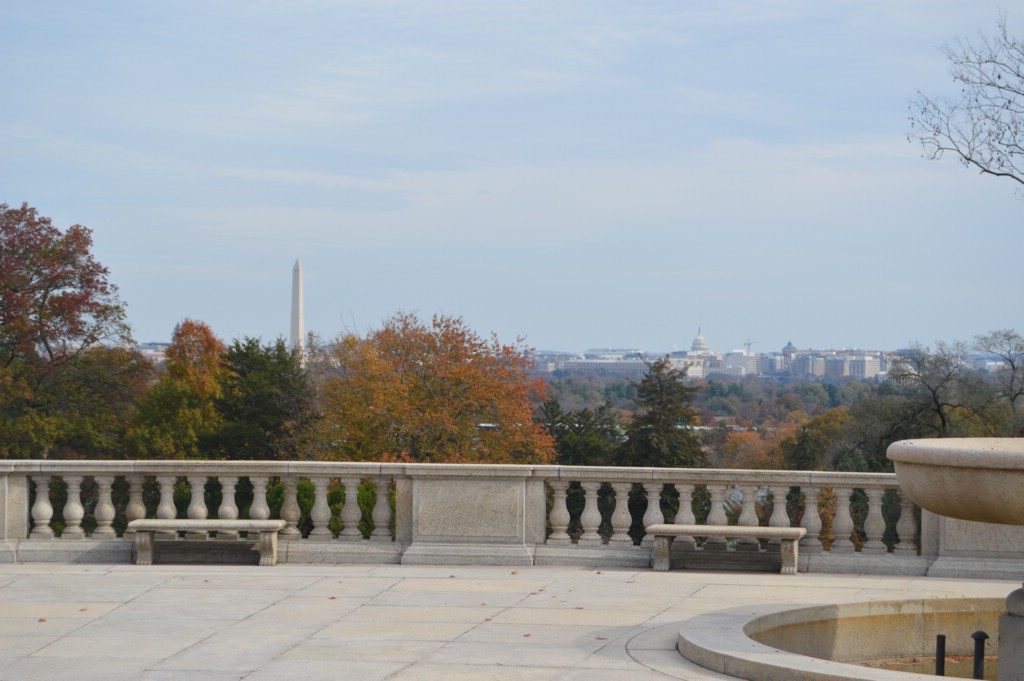 DSC_0008.JPG