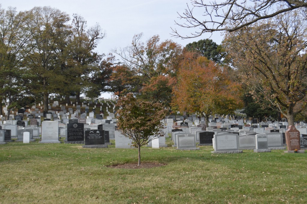 DSC_0011.JPG