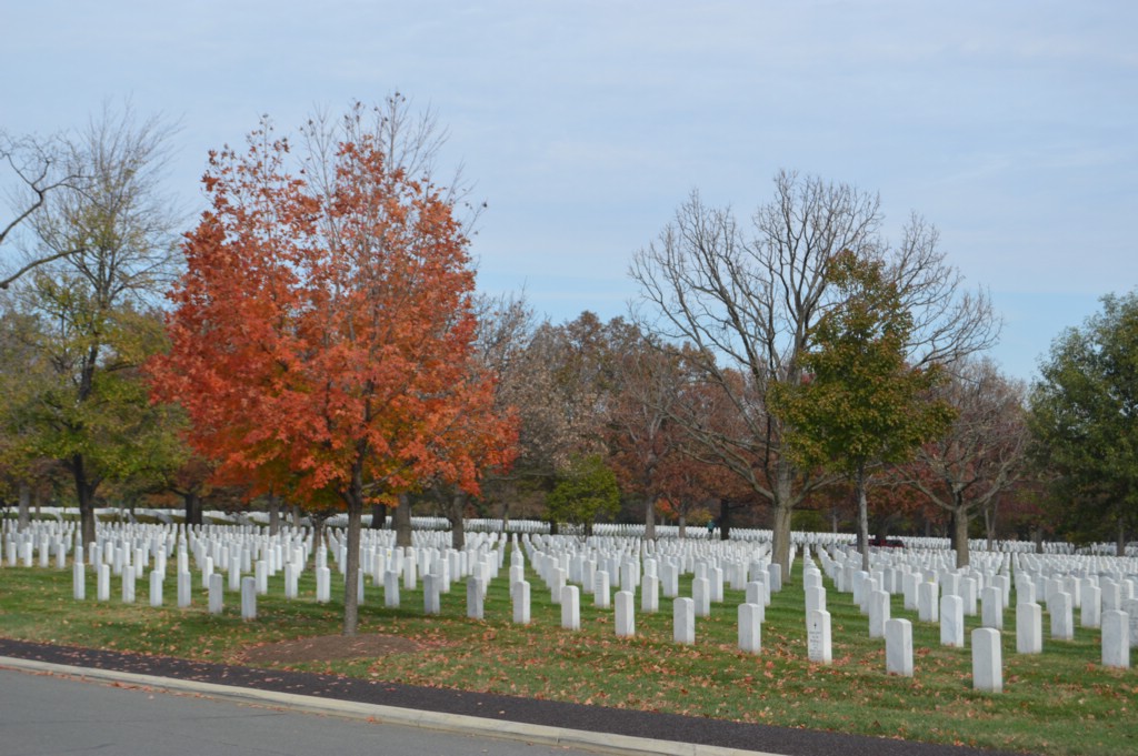 DSC_0015.JPG