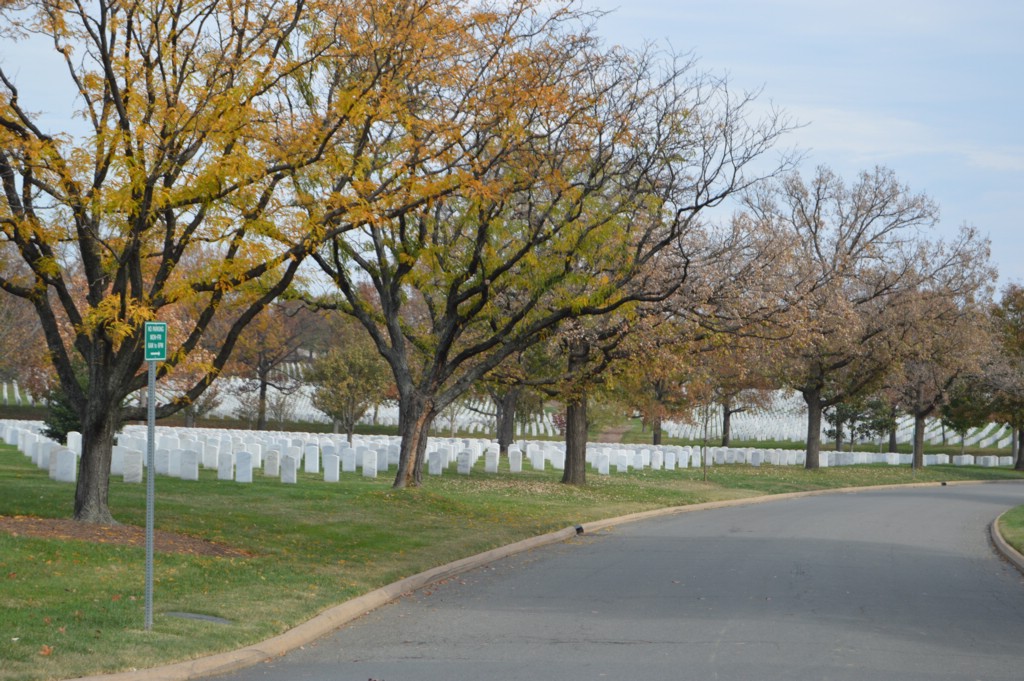 DSC_0016.JPG