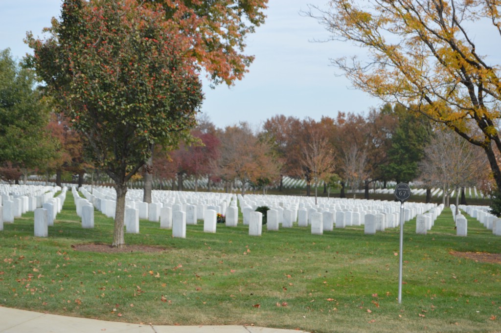 DSC_0017.JPG