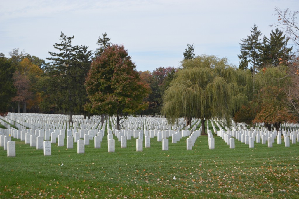 DSC_0020.JPG