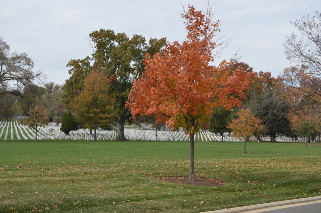 DSC_0022.JPG