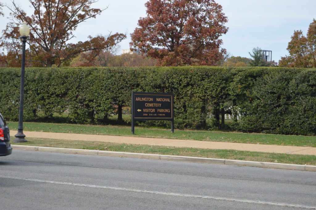 DSC_0025.JPG