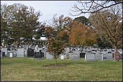 DSC_0011.JPG