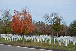 DSC_0015.JPG