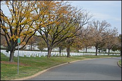 DSC_0016.JPG