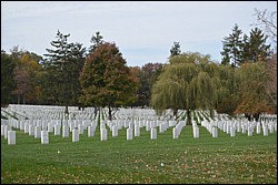 DSC_0020.JPG
