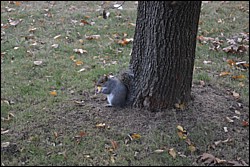 DSC_0034.JPG