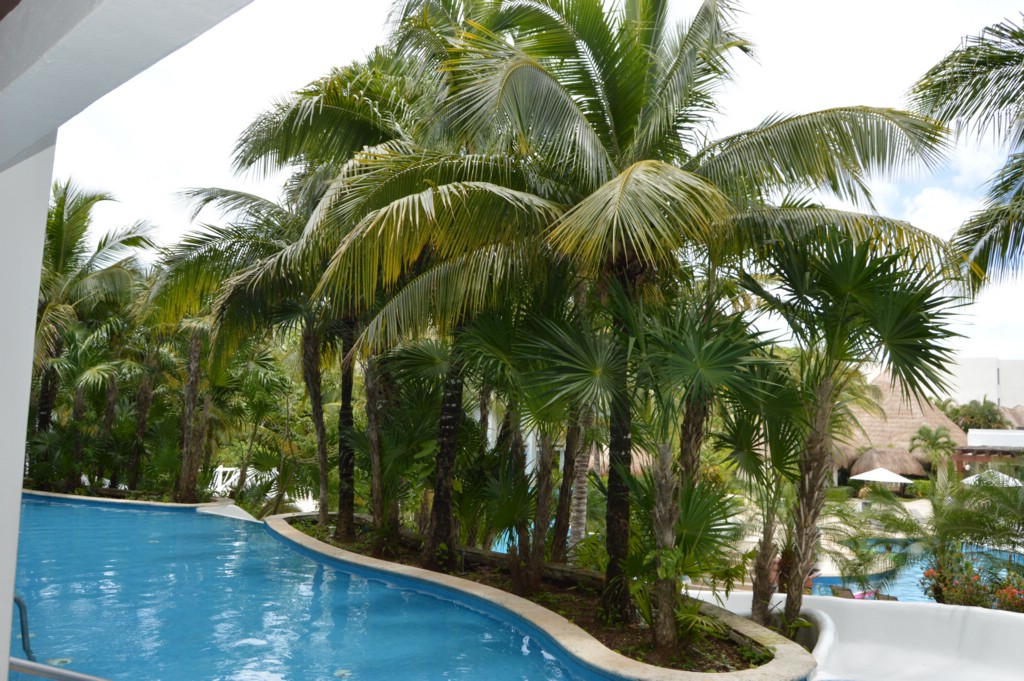 DSC_0027.JPG